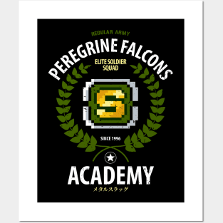 Peregrine Falcons - Shotgun Posters and Art
